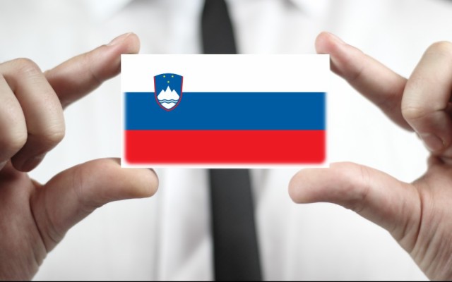 Самые востребованные иммиграционные консультанты Словении