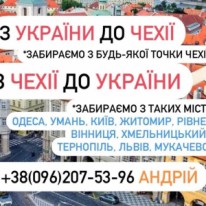 Andree - Транспортные услуги - Пассажирские перевозки