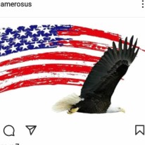США: Ameros.us - Иммиграционные консультанты