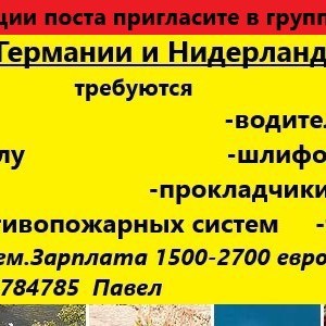 ОТДАМ ДАРОМ Словакия Братислава Кошице Прешов Нитра Жилина Трнава Мартин