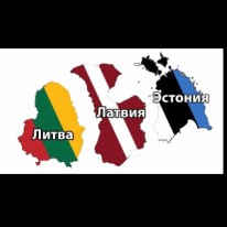 Миша - Транспортные услуги - Пассажирские перевозки