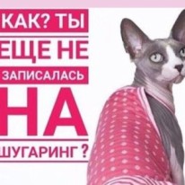 Дарья Шульман - Мастера красоты - Эпиляция